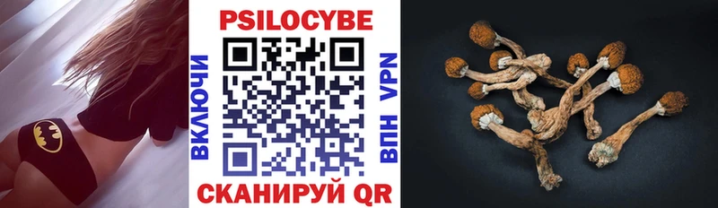 Галлюциногенные грибы Cubensis  Петрозаводск 
